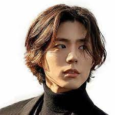 Ad H Bwig Men Wigs Short Brown Wig Male Guy Layered Middle Part Hair Daily Costume Middle Part Hairstyles Middle Hair Korean Men Hairstyle
