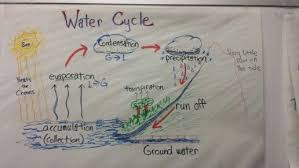 Water Cycle Fifth Grade Science Anchor Chart Good For Staar