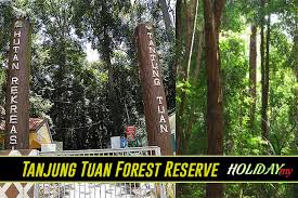 How much does it cost to stay at regency tanjung tuan beach resort? Tanjung Tuan Forest Reserve