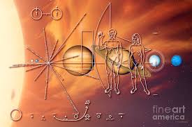 Image result for pioneer plaque