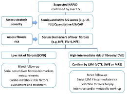 Image result for Fibrosis Probability Score