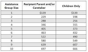 27 Comprehensive Michigan Food Stamp Calculator