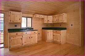 Holly Pettis Likes This Rustic Cabin Kitchens Small Cabin Kitchens Cabin Kitchens
