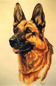 The cheapest offer starts at £750. Dental Tourism Low Cost Dental Care Macedonia Dental Co Uk German Sheperd Dogs Dog Sketch German Dogs