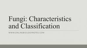 Fungi Characteristics And Classification Online Biology Notes