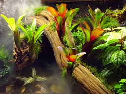 Creating A Terrarium Fogger Josh S Frogs How To Guides