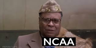 @REALDonThomas's video Tweet