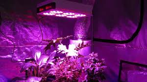 Led grow light comparison 2018. Top 8 Best Indoor Led Grow Light Review And Guideline 2018