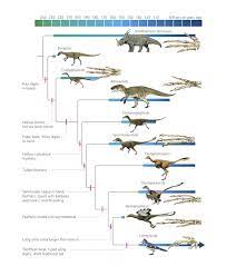 But with such a close relationship to the extinct dinosaurs, why did. Are Birds Really Dinosaurs