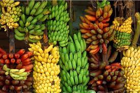 Meski dinamai pisang raja, jenis ini justru memiliki bentuk kalau yang satu ini adalah jenis pisang dengan harga paling murah di pasaran. Stok Melimpah Harga Pisang Menurun Radar Lamsel