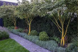 Rhythmische Geholze Kombiniert Mit Einer Immergrunen Bodengestaltung Vor Einer Hecke Garten Landschaftsbau Bepflanzung Landschaftsarchitektur