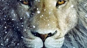 1080p Black And White Lion Wallpaper Lion Wallpaper 1080p Hd Lion Hd Wallpaper White Lion Images Lion Wallpaper