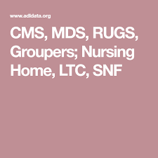 Cms Mds Rugs Groupers Nursing Home Ltc Snf Ltc Nursing Mds Coordinator Nurse