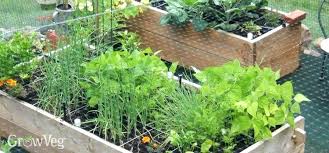 Vegetable Garden Spacing Aopo Biz