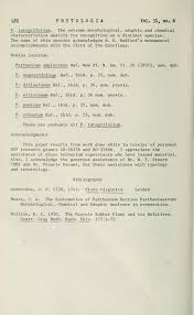 Image result for Chascanum pumilum