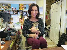 When looking in norwalk, we know there are many local businesses to choose from, we recommend you consider puppies of westport. Woman Smashes Pet Shop Door To Set The Puppies Free Norwalk Ct Patch