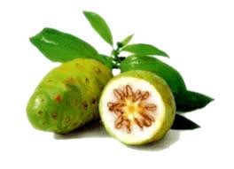 Health Benefits Of Noni Fruit Noni Fruit Fruit Health Benefits Fruit