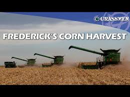 Image result for Agricultural Yellow 2000 Fleet