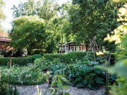 Gemuse Und Krauter Fur Die Zweite Saisonhalfte Saen Und Pflanzen Osmers Garten Garten Garten Planen Bauerngarten