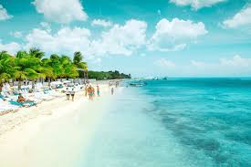 When my clients ask me about suggestions for. Cozumel Visitors Guide The Very Best Of Cozumel Mexico