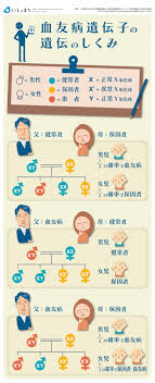 血友病遺伝子の遺伝のしくみ infographics 遺伝 健康 医療