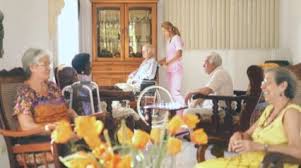 Elements Of An Effective Elderly Fall Prevention Program Healthy Aging Home Safety Checklist Fall Prevention