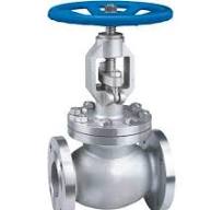 WCB Globe Valve