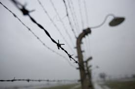 The property is around 1.6 miles from palatine. La Vita E Bella Il Regolamento Del Gioco Idee E Passioni Di Kira