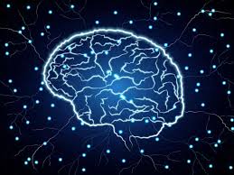 Michael green, neuroscientist and professor of psychiatry and biobehavioral sciences at ucla, has been fascinated with the human brain. Schizophrenia A Byproduct Of The Brain S Complex Evolution