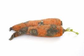 We did not find results for: Product Recall For Mold Gerber Baby Food Gerber Baby Food Baby Food Recipes Food Mold