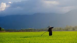 Maybe you would like to learn more about one of these? Potensi Dan Persebaran Sumber Daya Alam Di Indonesia Kelas Pintar