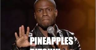 Kevin Hart Funny