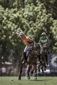 I have never ridden a camel. 200 A Passion For Polo Ideas Polo Sport Of Kings Polo Pony