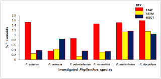 Image result for Phyllanthus odontadenius