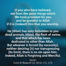 Select qari qari 1 qari 2 qari 3 qari 4. Quran Surat Al Baqarah 2 Verse 172 173 O You Who Have Flickr