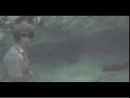 Steve irwin, troll irl, aka crocodile dundee, aka crocodile hunter, aka stringray hunted, lived in the wild for most of his life training bears for circuses. Pin On Steve Irwin S Death And Bindi