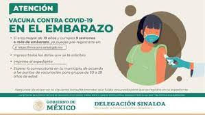 Regístrate y vacúnate si eres adulto mayor. Vacuna Covid 19 A Mujeres Embarazadas Link Aqui Registrate Via Mivacuna Salud Gob Mx Y Requisitos Si Tienes Mas De 18 Anos Registro De Vacunacion A Mujeres Embarazadas Hoy Coronavirus Gobierno De Mexico