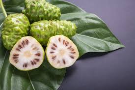 Adaptogene Noni Schlafbeere Amla Cosmacon Schlafbeere Noni Frucht Indisches Basilikum