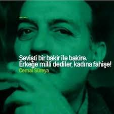 Sevisti Bir Bakir Ile Bakire Erkege Milli Dediler Kadina Fahise Kitap Kenari Yazar Sozleri Edebiyat