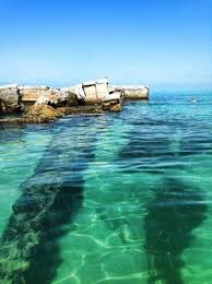 Petersburg area and a florida state park. Special Trips Egmont Key Florida Anna Maria Island