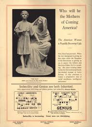 Get ready because eddie murphy is coming to america, again! Who Will Be The Mothers Of Coming America Her Place Is Being Taken By The Low Browed Broad Faced Flat Chested Woman Of Lower Europe Usa 1920s Propagandaposters