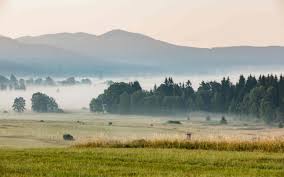 Tsjechië is een middelgroot land in het centrale deel van europa en heeft als buurlanden duitsland, polen, slowakije en oostenrijk. Jagen In Tsjechie Barrel And Boar Outings
