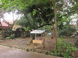 Jual cepat tanah dengan luas 590 m2. Jual Tanah Murah Di Depok Shm 430 M2 439 Jualsewatanah Com