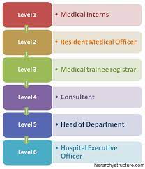 An education degree hierarchy illustrates the different degrees that can be attained by the students on completion education degree hierarchy. Medical Career Hierarchy Career Hierarchy Structure