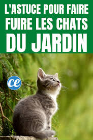 Epingle Sur Astuces