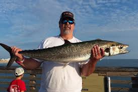 Jennettes Pier Fishing Report August 20 2019 Fishtrack Com