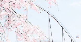 Pisces Moon Tumblr Pastel Pink Aesthetic Pastel Aesthetic Aesthetic Japan