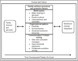 Each heading level is formatted differently. Determining How A Grandparent Headed Family Expresses Family Resilience Semantic Scholar