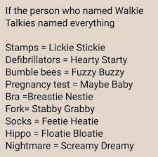 If Person Who Named Walkie Talkie Named Everything Funny Quotes Morning Humor Funny