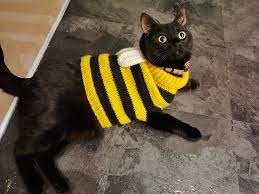 Ravelry Bumblebee Cat Sweater Pattern By Justine Bottles